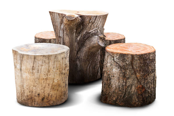 Natural furniture Natural chair and table for garden furniture mad from wooden log isolated on white trunk furniture photos stock pictures, royalty-free photos & images