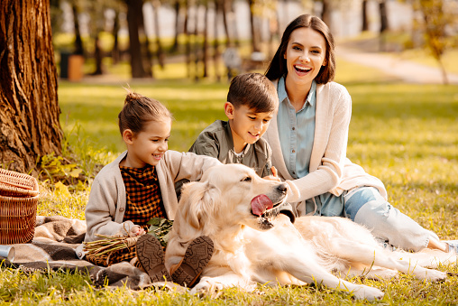Little children and their mom sitting on a picnic blanket in a park and petting a dog