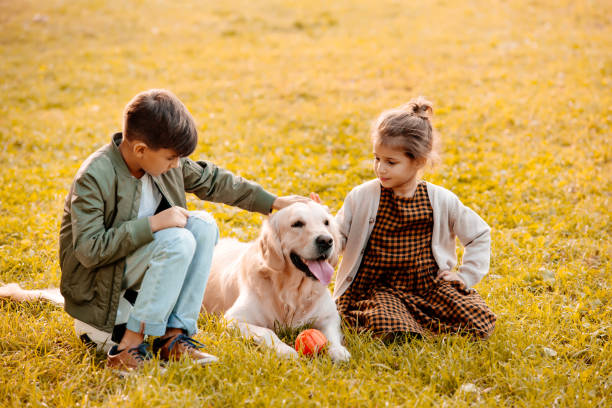 istock Children petting dog in park 874724670