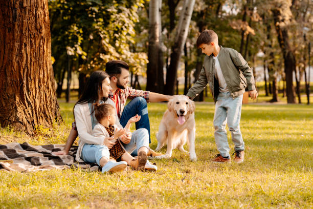 istock Family playing with dog in park 874731148