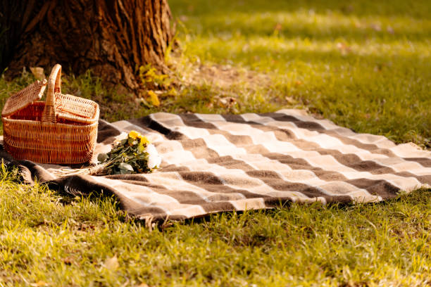picnic blanket and basket Empty picnic blanket and a basket on a grassy lawn picnic blanket stock pictures, royalty-free photos & images