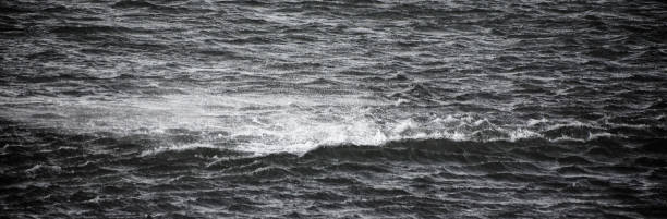 istock Wave near St Mary's lighthouse 874738928