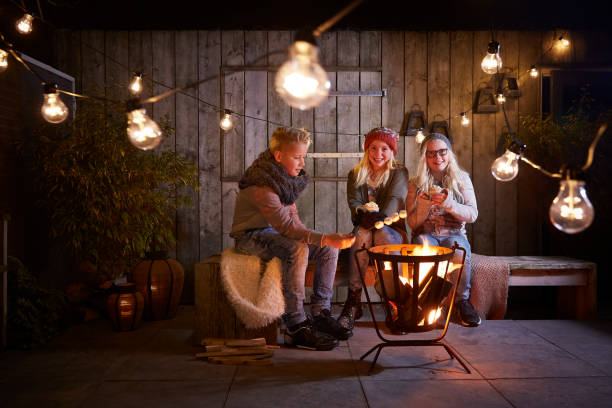 children have fun around a fire, drink chocolate milk and heat marshmallow. - friendly fire imagens e fotografias de stock