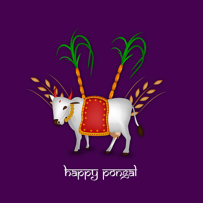Illustration Of Indian Festival Pongal Background Stock Illustration -  Download Image Now - Agriculture, Art, Bihu - iStock