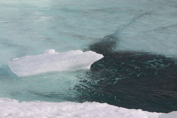 istock Ice melting on the river in the spring, Katun River, Altai, Russia 874746594