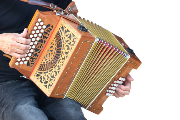 istock Man playing the accordion isolated white background. 874747498