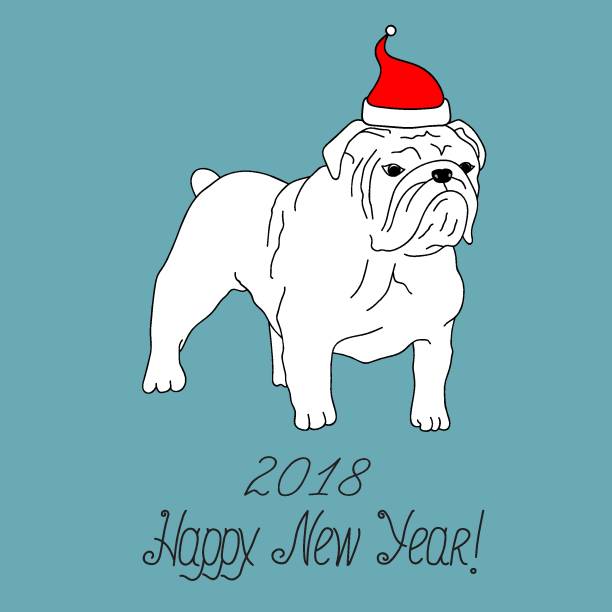 illustrazioni stock, clip art, cartoni animati e icone di tendenza di buon anno 2018 biglietto d'auguri. bulldog inglese bianco in seduta con cappello di babbo natale. illustrazione vettoriale di sketch disegnata a mano libera. lettering calligrafico. sfondo blu - english bulldog