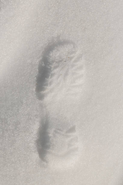 istock Imprint of a shoe in the snow 874758162