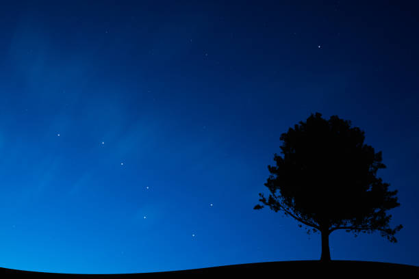 Mysterious night sky stock photo