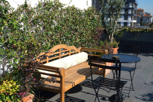 istock Outdoor relax in luxurious style 874772986