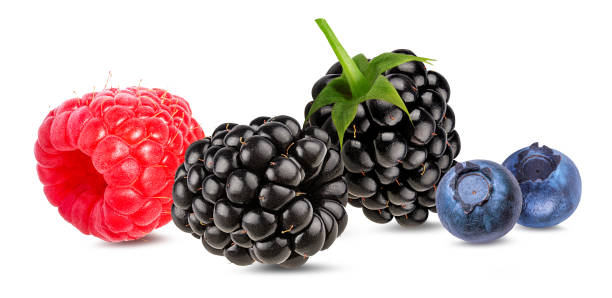 istock Berries collection. Raspberry, blueberry, blackberry  isolated 874780970