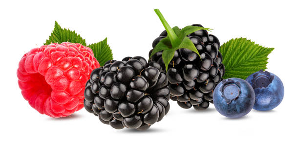 istock Berries collection. Raspberry, blueberry, blackberry  isolated 874781258