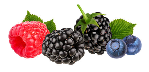 istock Berries collection. Raspberry, blueberry, blackberry  isolated 874781538