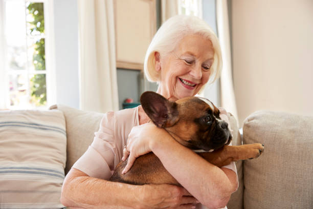Old Woman And Dog Stock Photos, Pictures & Royalty-Free Images - iStock Old Woman And Dog Stock Photos, Pictures & Royalty-Free Images - iStock