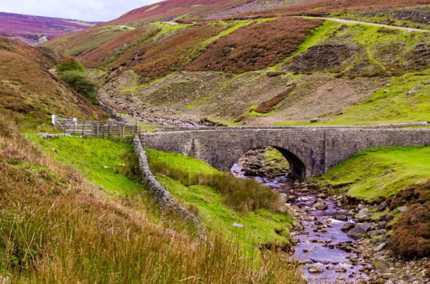 istock Old Gang Beck, Reeth High Moor. 874791702