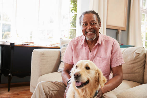 Senior Man Sitting On Sofa At Home With Pet Labrador Dog