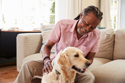 Senior Man Sitting On Sofa At Home With Pet Labrador Dog