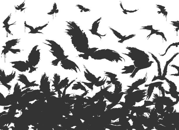 흰색 바탕에 검은 새의 무리 - 까마귀 stock illustrations