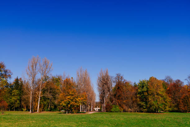 Autumnal leaves and colorful trees at public park in weimar.