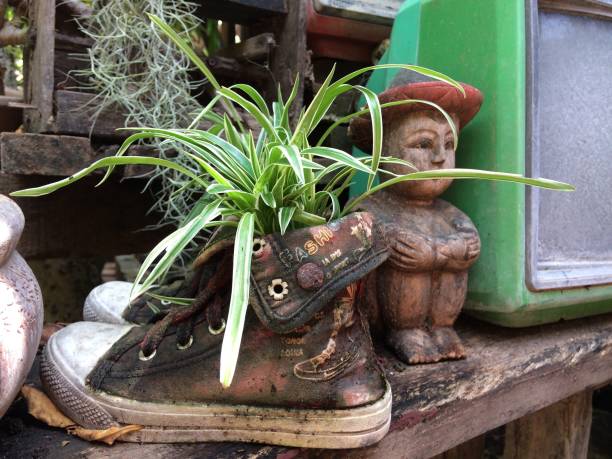 istock Old shoes used to plant trees. 874814402