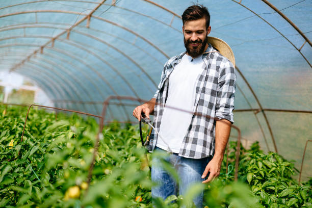 istock Young farmer protecting his plants with chemicals 874814876
