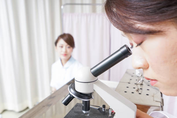 médecin, observant dans un microscope et une infirmière - biotechnology student laboratory nurse photos et images de collection