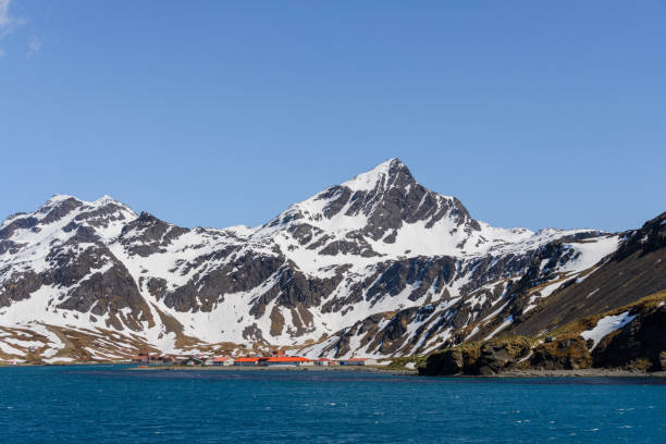 istock South Georgia Grytviken landscape 874818768