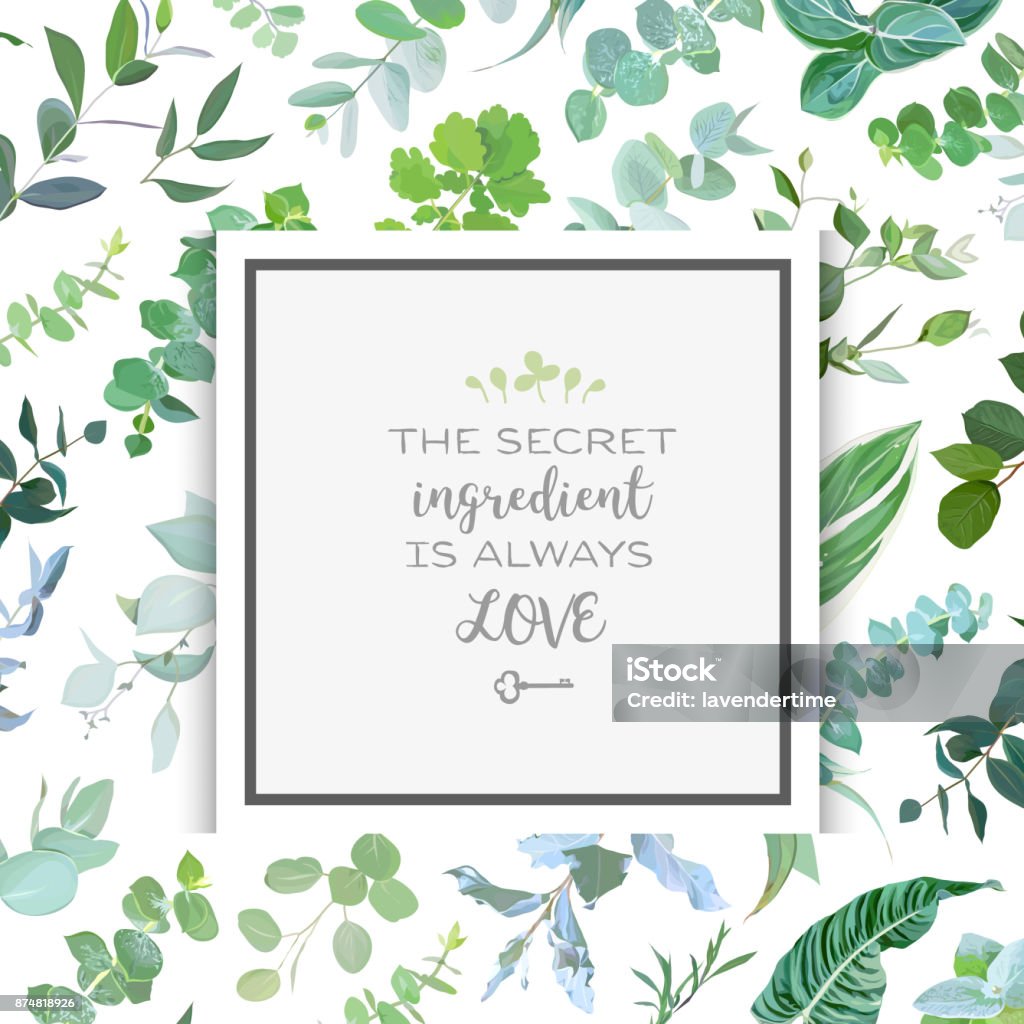 Square botanical vector design frame Square botanical vector design frame. Baby blue eucalyptus, salal, tropical leaves, various plants and herbs.Natural greenery card with rustic pattern backdrop. All elements are isolated and editable Border - Frame stock vector