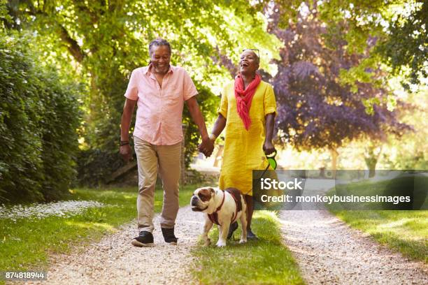 Senior Pareja Con Mascota Bulldog En Campo Foto de stock y más banco de imágenes de Tercera edad - Tercera edad, Andar, Primavera - Estación