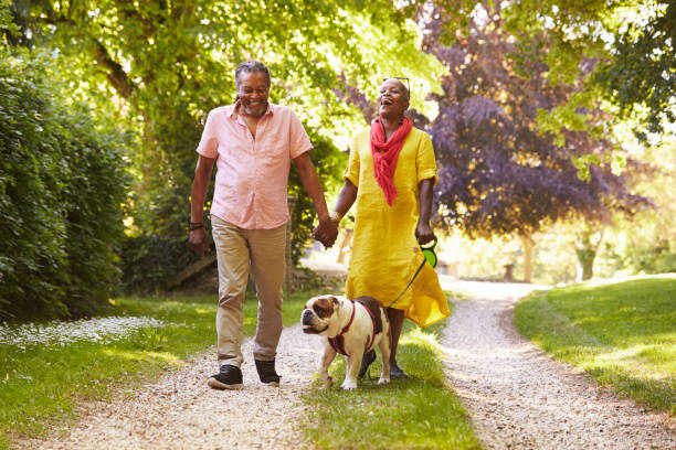 Senior Couple Walking With Pet Bulldog In Countryside Senior Couple Walking With Pet Bulldog In Countryside bulldog photos stock pictures, royalty-free photos & images