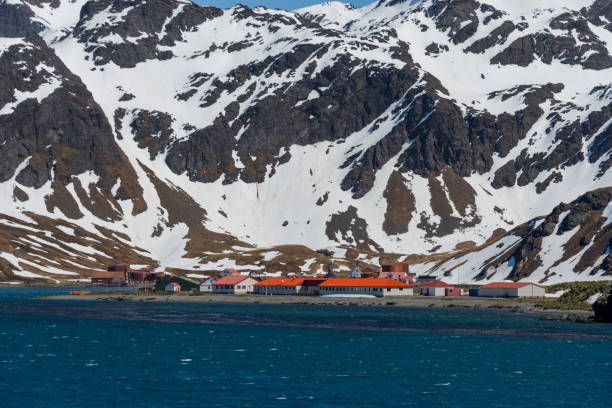istock South Georgia Grytviken landscape 874819088