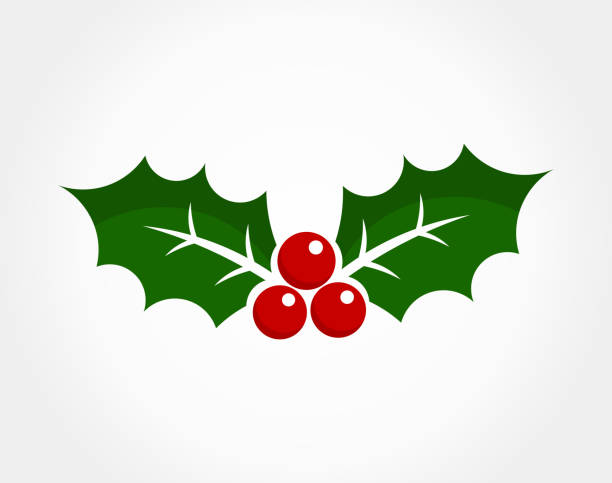 ilustraciones, imágenes clip art, dibujos animados e iconos de stock de icono de navidad holly berry - mistletoe