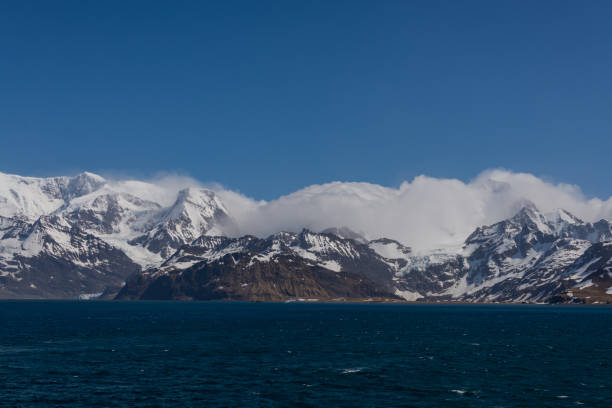 istock South Georgia Grytviken landscape 874821854