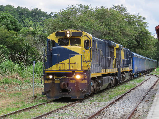 Two rows of cargo train wagons