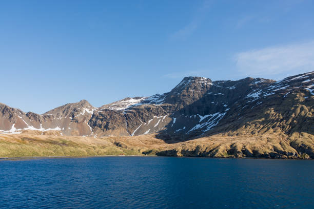 istock South Georgia Grytviken landscape 874822086