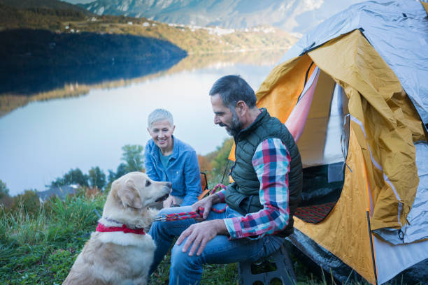 istock Camping as way of living 874823142