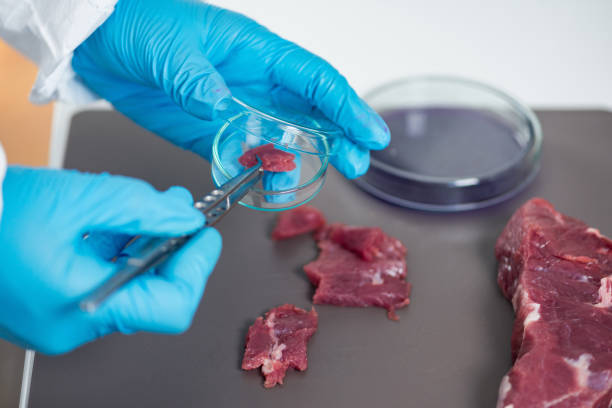 istock Food safety, preparing sample of red meat for analysis 874832580