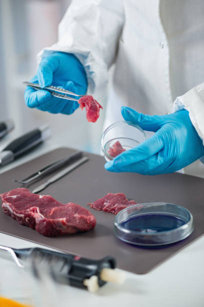 istock Food safety, analyzing sample of red meat in laboratory 874832860