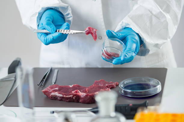istock Food safety, analyzing sample of red meat in laboratory 874832986
