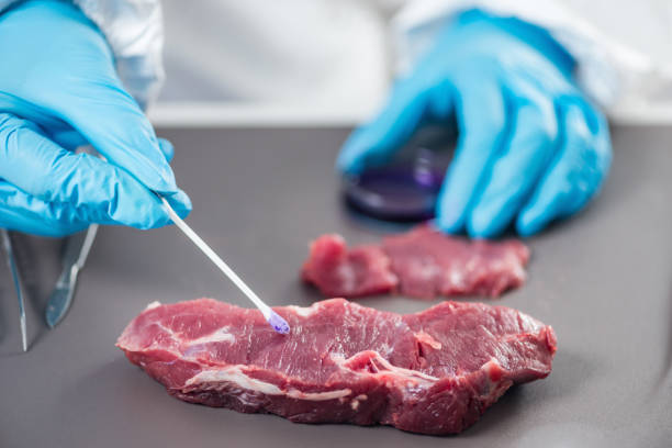 Food safety laboratory technician testing red meat Food safety laboratory technician testing red meat genetically modified food stock pictures, royalty-free photos & images