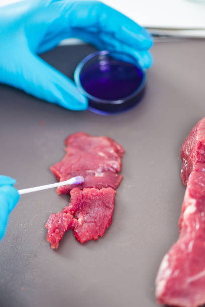 istock Food safety, analyzing sample of red meat in laboratory 874833714