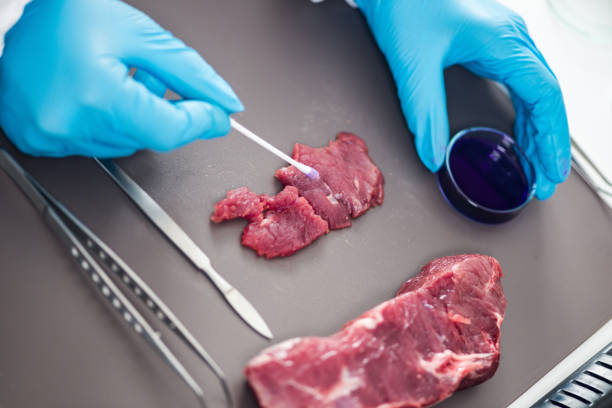 istock Food safety, quality control inspector testing red meat 874833800
