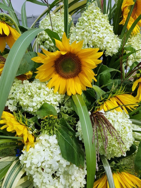 istock bouquet, flowers, autumn, sunflowes 874836830