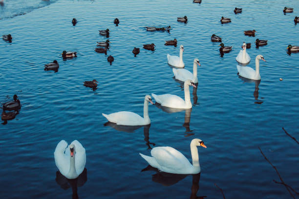 istock Beautiful view in Germany 874840386