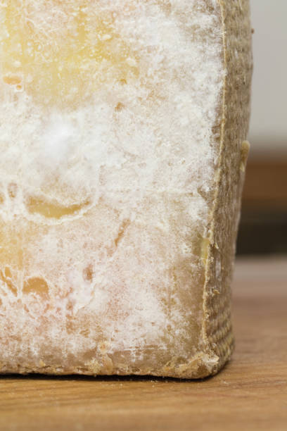 istock Moldy cheese close up. Molded clice of comte cheese on the cutting board. 874840744