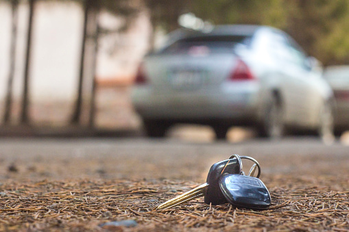 lost car keys on the fallen needles of blue spruce. back blur background bokeh