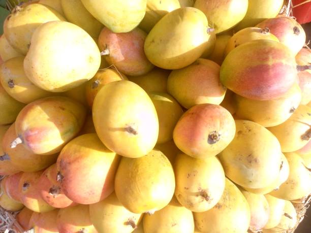 istock Mangoes for sale 874856450