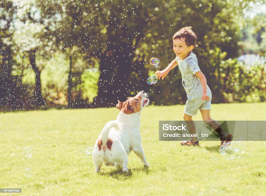 Carefree kid and pet dog playing with flying soap bubbles at sunny summer day Summer fun at backyard lawn at hot day Child Stock Photo