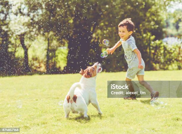 Carefree Kid And Pet Dog Playing With Flying Soap Bubbles At Sunny Summer Day Stock Photo - Download Image Now