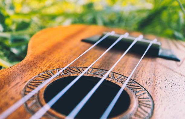 istock Ukulele guitar at the mountain nature forest grass. 874859724